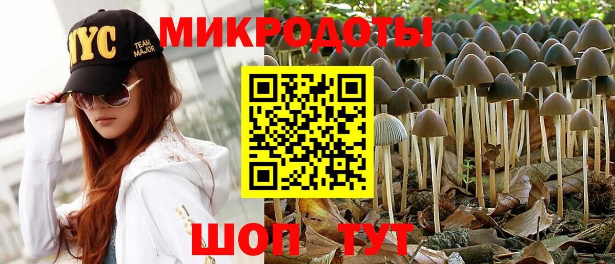 Кингисепп  Псилоцибиновые грибы прущие грибы  Вход с VPN  Галлюциногенные грибы MAGIC MUSHROOMS 