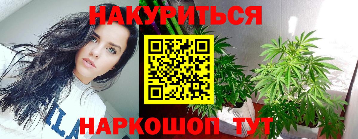 Каннабис план  Вход с VPN  Шишки марихуана сатива  Кингисепп 